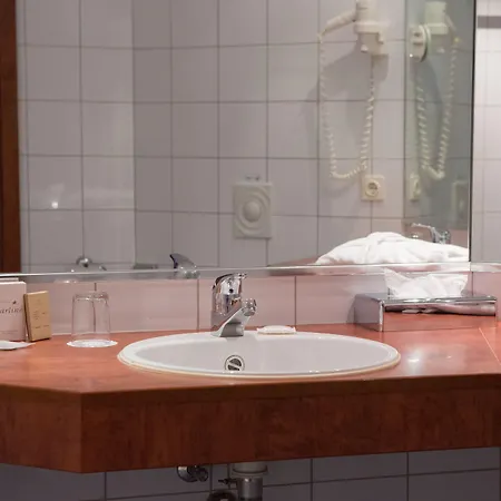 Amedia Frankfurt Trademark Collection By Wyndham Rüsselsheim