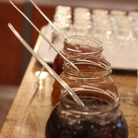 Amedia Frankfurt Trademark Collection By Wyndham