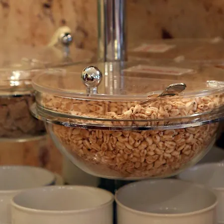 Amedia Frankfurt Trademark Collection By Wyndham Rüsselsheim