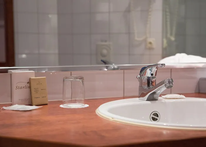 Amedia Frankfurt Trademark Collection By Wyndham