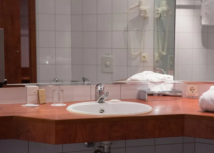 Amedia Frankfurt Trademark Collection By Wyndham Rüsselsheim