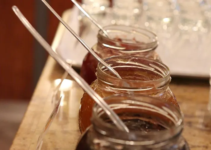 Amedia Frankfurt Trademark Collection By Wyndham